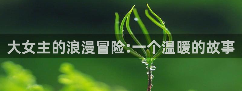 虫虫漫画无翼鸟：大女主的浪漫冒险:一个温暖的故事