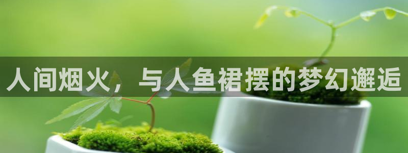 虫虫漫画:：人间烟火，与人鱼裙摆的梦幻邂逅